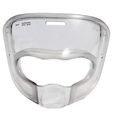face_mask_1b